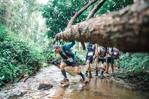 BIB: 
                            <button type="button" onclick="openModal(25374916)" class="btn btn-primary btn-sm float-right btn-popup" data-toggle="modal" data-target=".modal-high-quality">
                        <i class="fas fa-shopping-cart"></i> Add to Cart
                    </button>
                                            <button type="button" onclick="isThisMe(25374916, true)" class="btn btn-success btn-sm float-right btn-popup btn-isme hidden" data-toggle="tooltip" data-placement="bottom" title="นี่คือรูปของคุณใช่ไหม คลิกที่นี่เพื่อเอาเข้าอัลบั้ม">
                        <i class="fas fa-plus"></i> Add to album
                    </button>
                    <button type="button" onclick="isThisMe(25374916, false)" class="btn btn-warning btn-sm float-right btn-popup btn-isnotme hidden">
                        <i class="fas fa-ban"></i> Remove from album
                    </button>